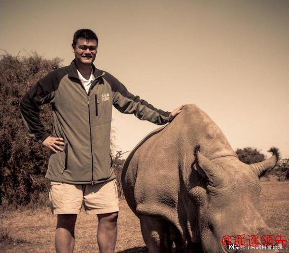 真不是特效！姚明体型夸张至极，泳池中如灭霸，奥尼尔同框显得娇小