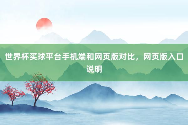世界杯买球平台手机端和网页版对比，网页版入口说明